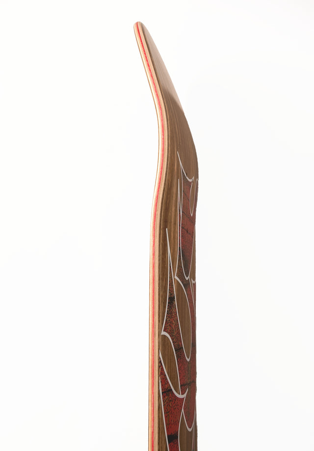 titus-classic-logo-mini-deck-brown image 3