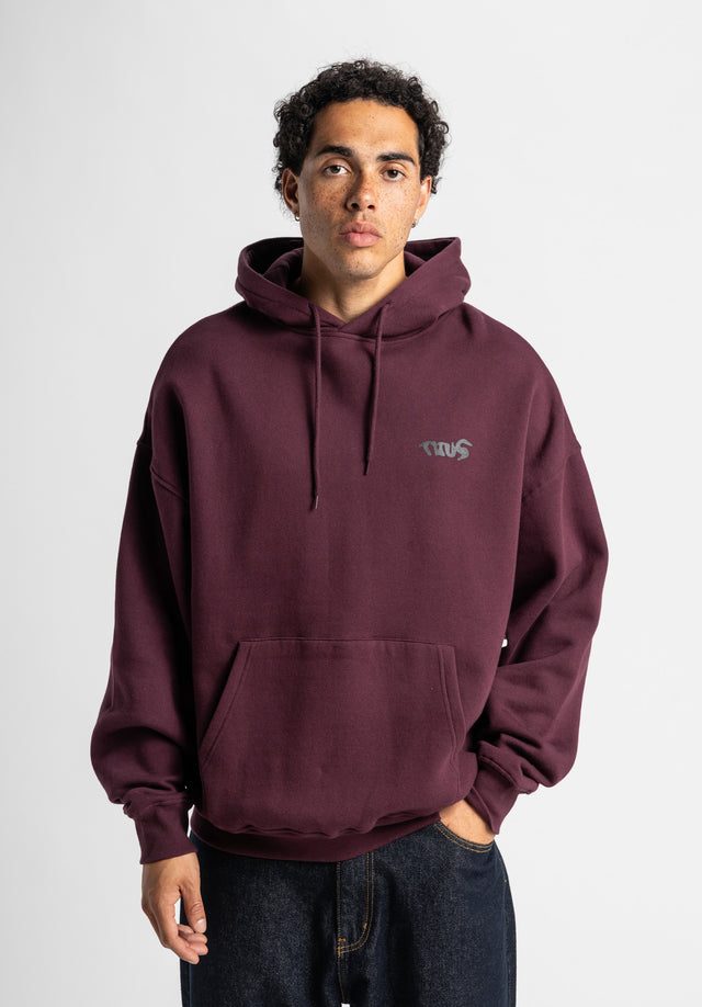 titus-crew-hoodie-oversize-street-art-print image 3