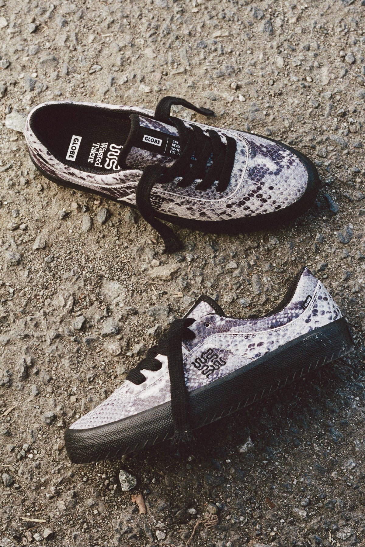 globe-melbek-wasted-talent-black-snake-skateschuh image 4
