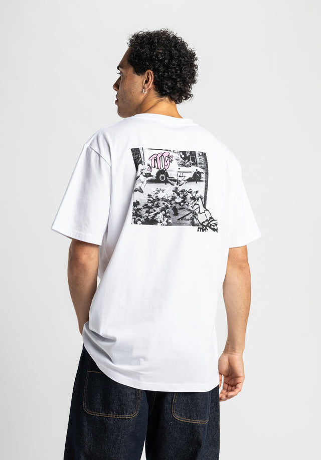 titus-pigeon-chaos-t-shirt-regular-streetart image 2