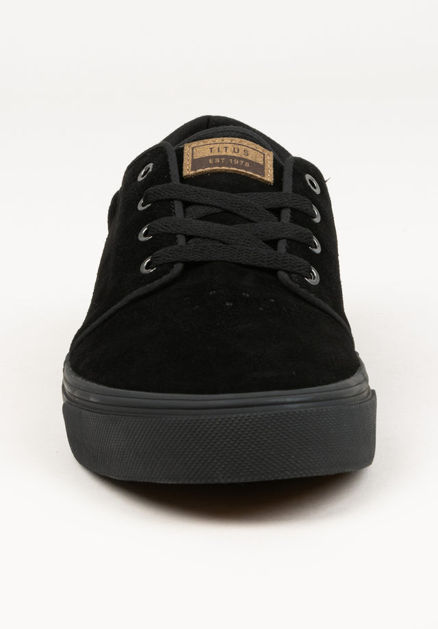 titus-hudson-skateschuh-terra-classic image 2