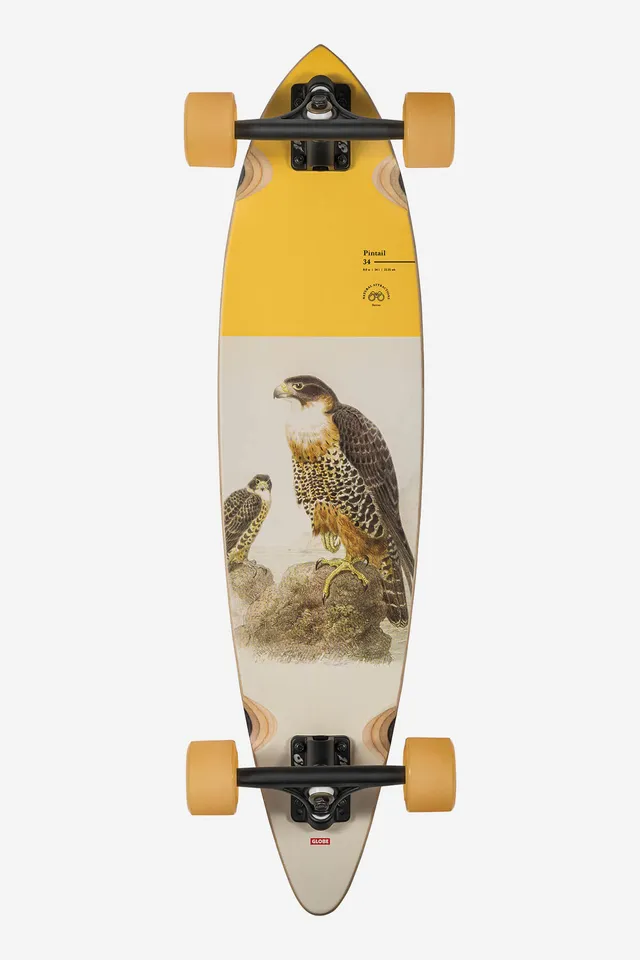 globe-pintail-34-longboard-falcon image 1