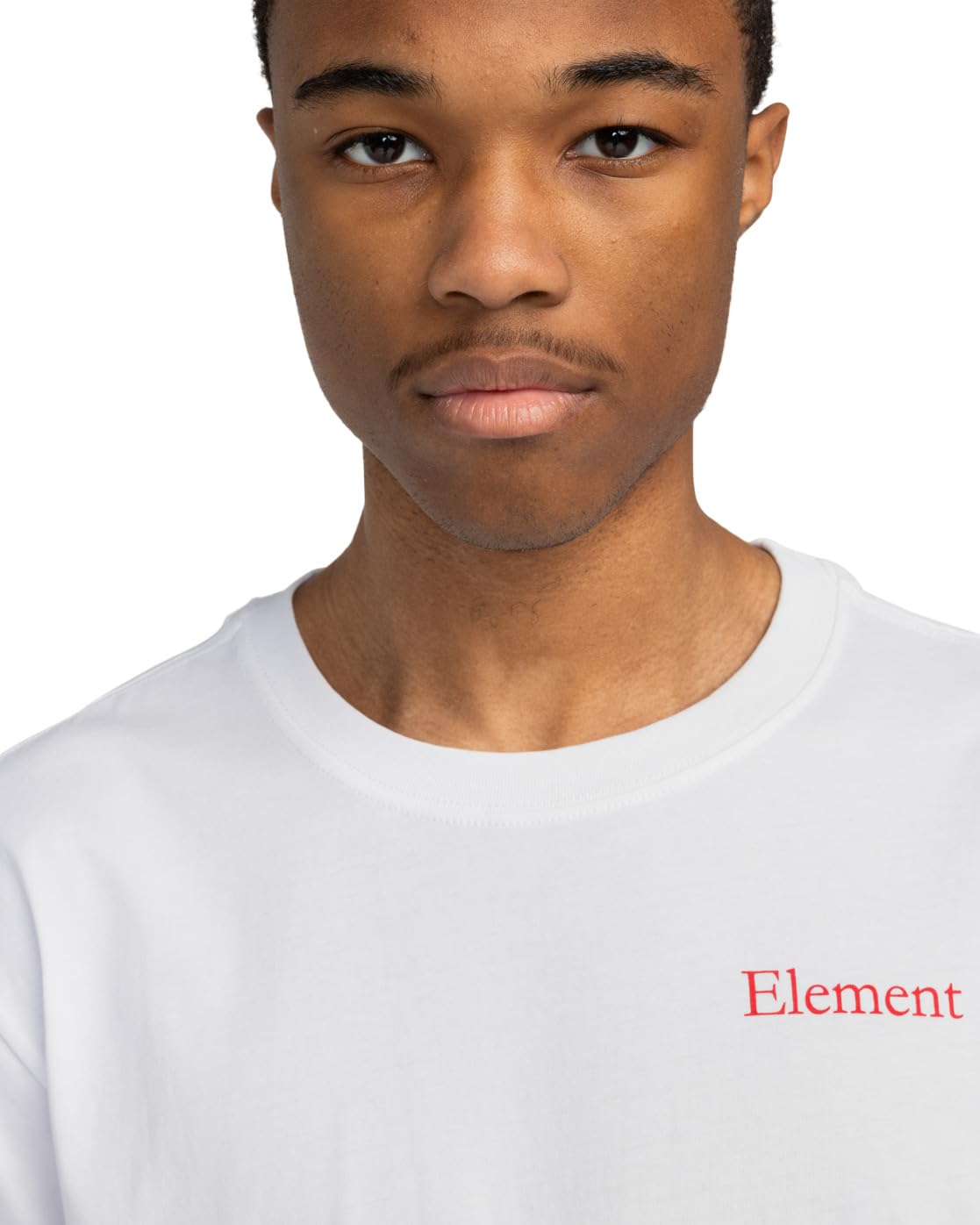 element-sbxe-bee-elyzt00487-herren-t-shirt-organic-cotton image 4