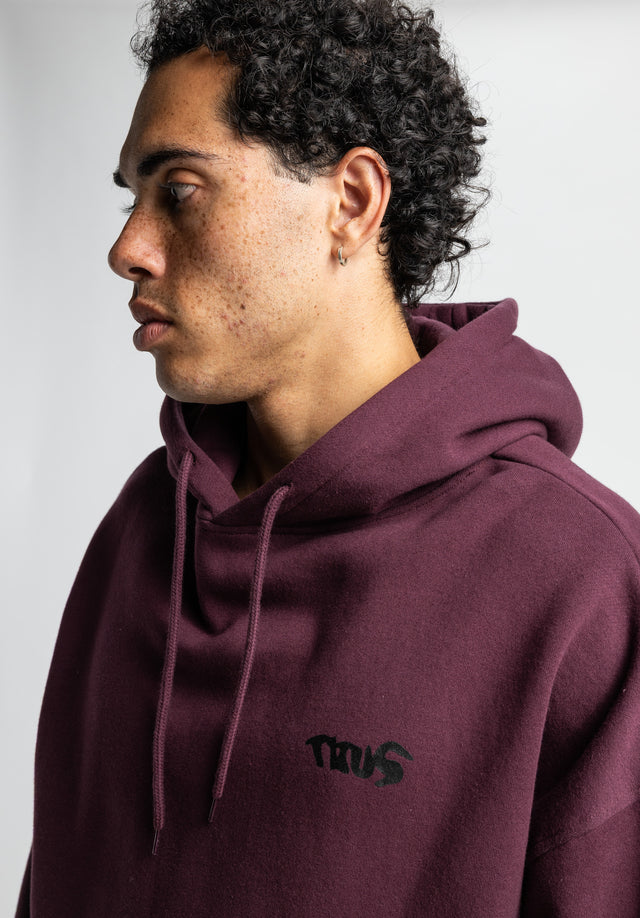 titus-crew-hoodie-oversize-street-art-print image 4
