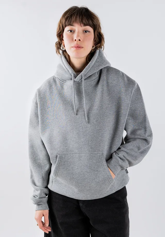 titus-w-bsc-hoodie-regular-fit-basic image 1