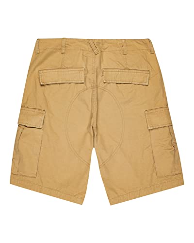element-legion-cargoshorts-f-r-herren-elyws00103-2 image 8