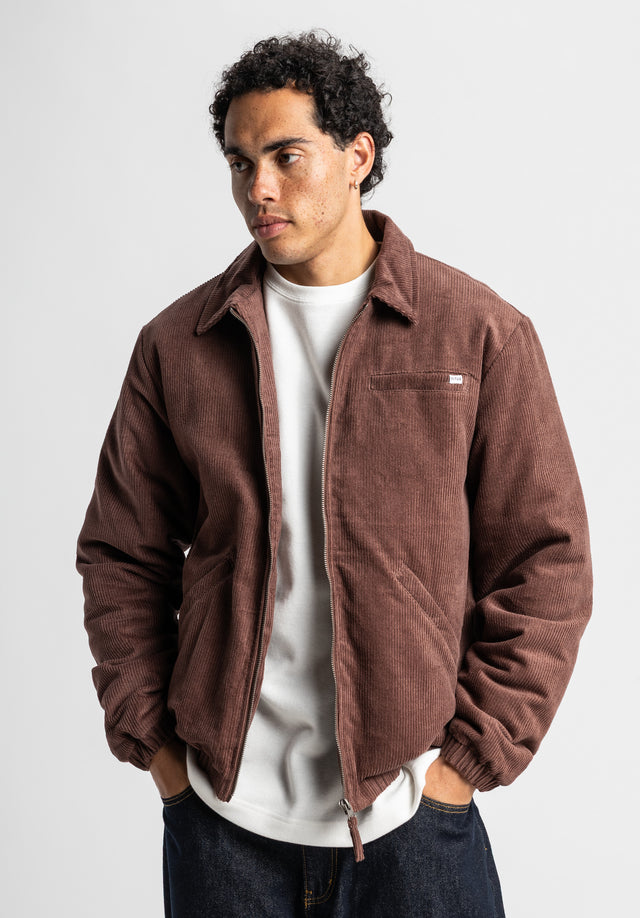 titus-sanger-cordjacke-mit-steppfutter image 2