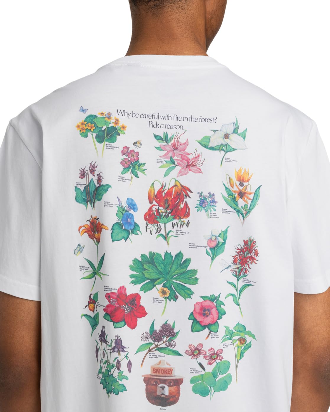 element-sbxe-bee-elyzt00487-herren-t-shirt-organic-cotton image 2