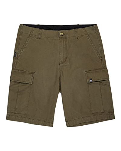 element-legion-cargoshorts-f-r-herren-elyws00103-3 image 6