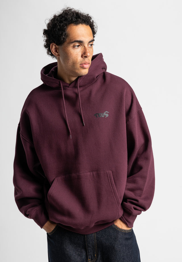 titus-crew-hoodie-oversize-street-art-print image 2