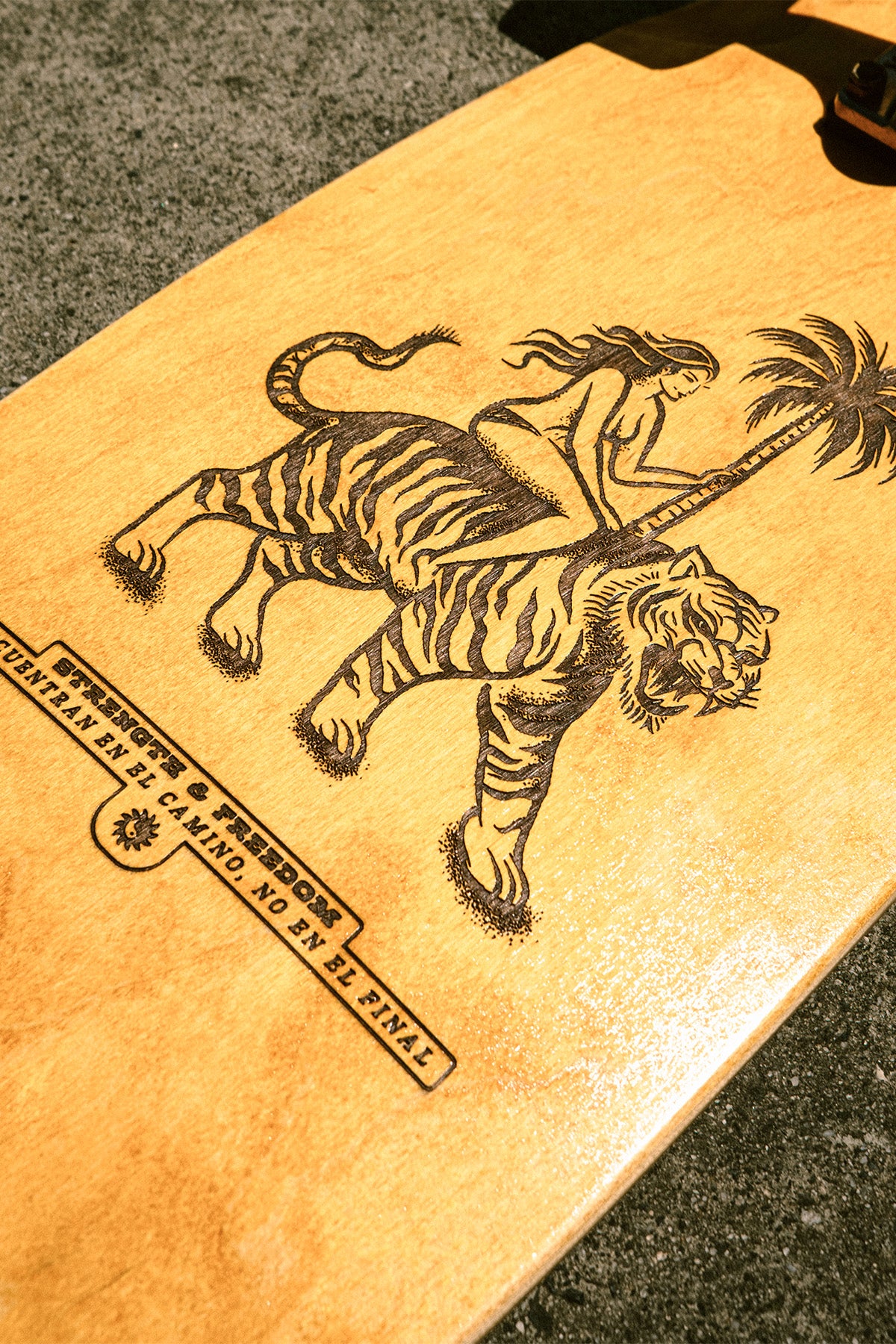 globe-sun-city-30-cruiserboard-la-tigra image 4