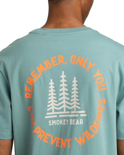 element-sbxe-remember-ss-t-shirt-herren image 8