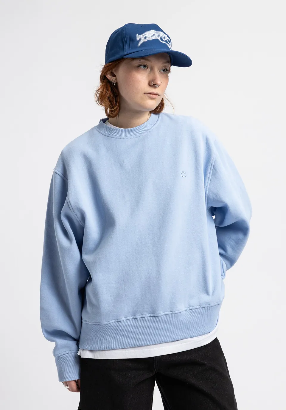 titus-w-hxgn-crew-sweatshirt-oversize image 1
