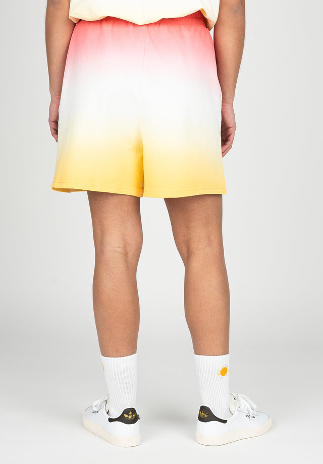 titus-terry-shorts image 2
