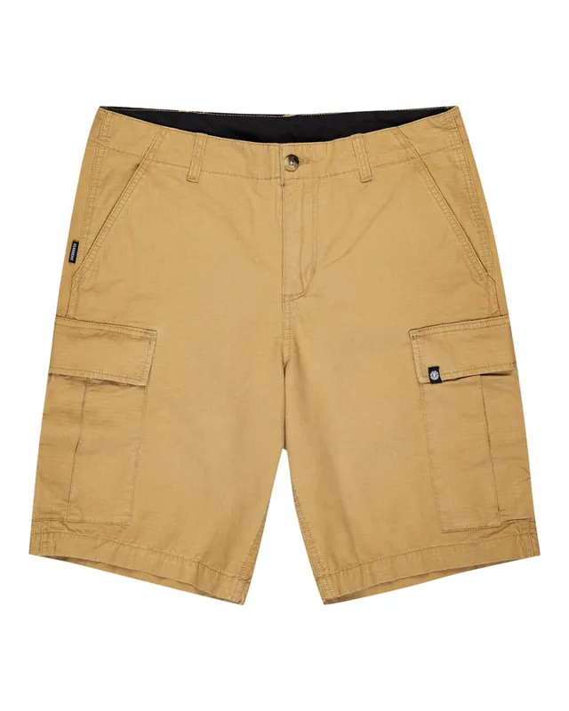 element-legion-cargoshorts-f-r-herren-elyws00103-2 image 1