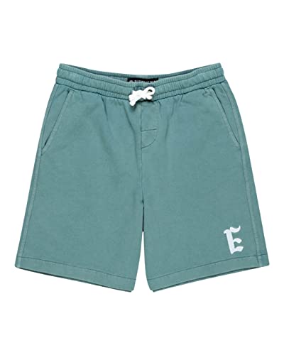 element-cornell-3-0-short-youth-jungen-shorts image 3