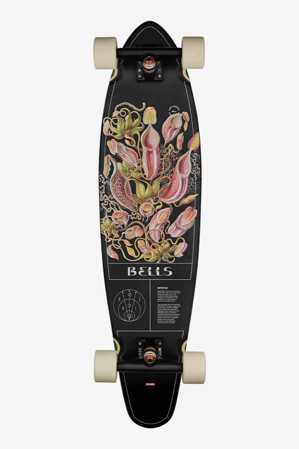 globe-bells-34-longboard-pitcher image 1