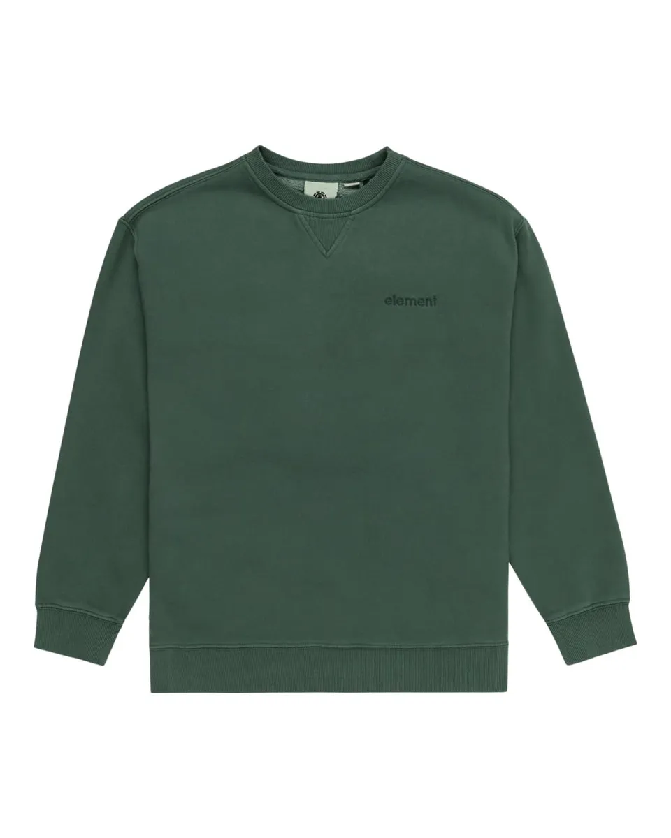 element-cornell-3-0-cr-youth-sweatshirt-jungen image 1