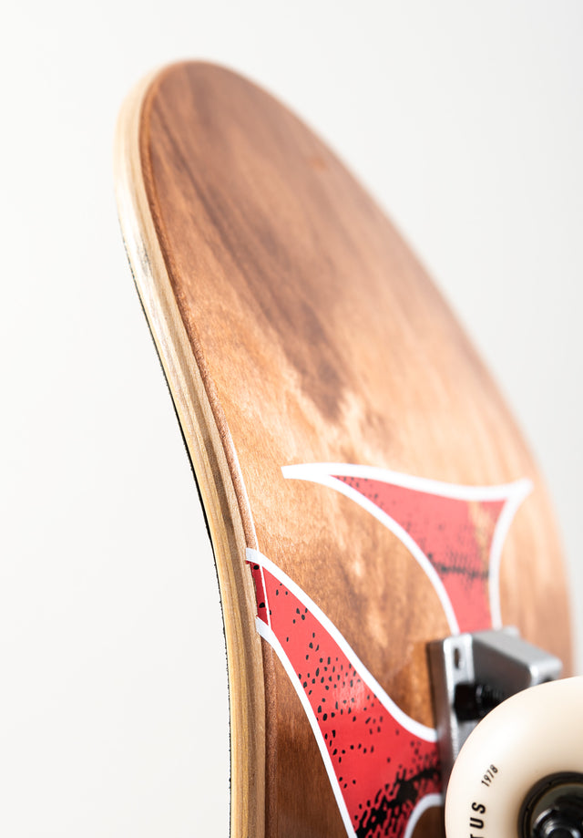 titus-classic-logo-skateboard-komplettboard-54mm-101a image 6