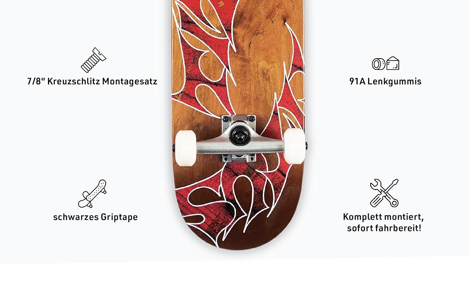 titus-triple-classic-logo-skateboard-komplettboard-beginner-7-5-8-25 image 5