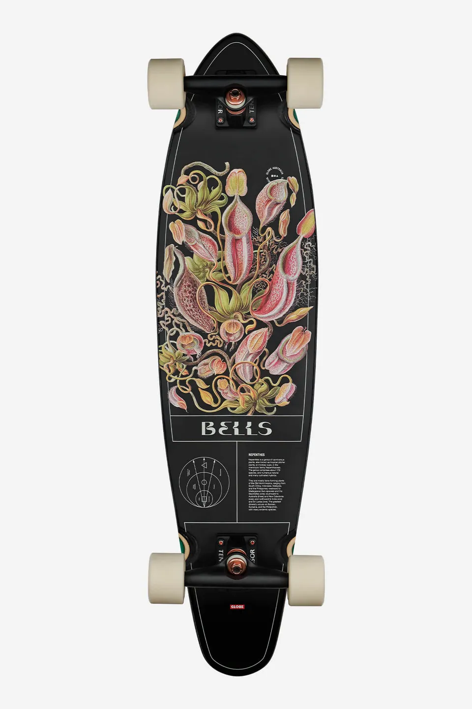 globe-bells-34-longboard-pitcher image 1