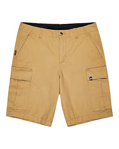 element-legion-cargoshorts-f-r-herren-elyws00103-2 image 6