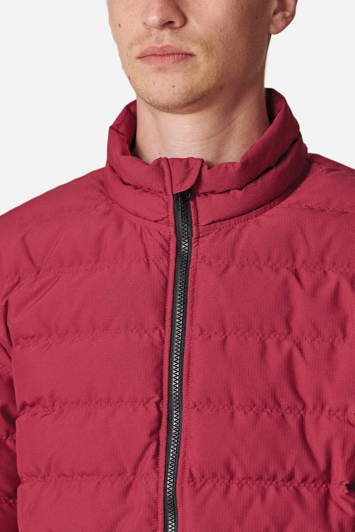 globe-prime-down-pufferjacke-rhubarb-herren image 3