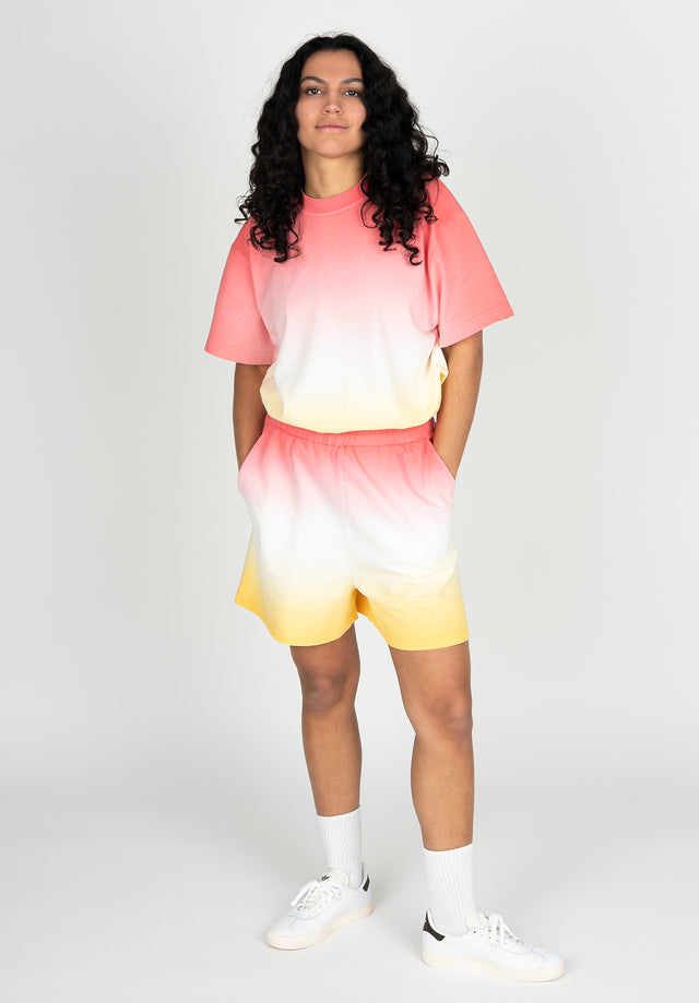 titus-terry-shorts image 5