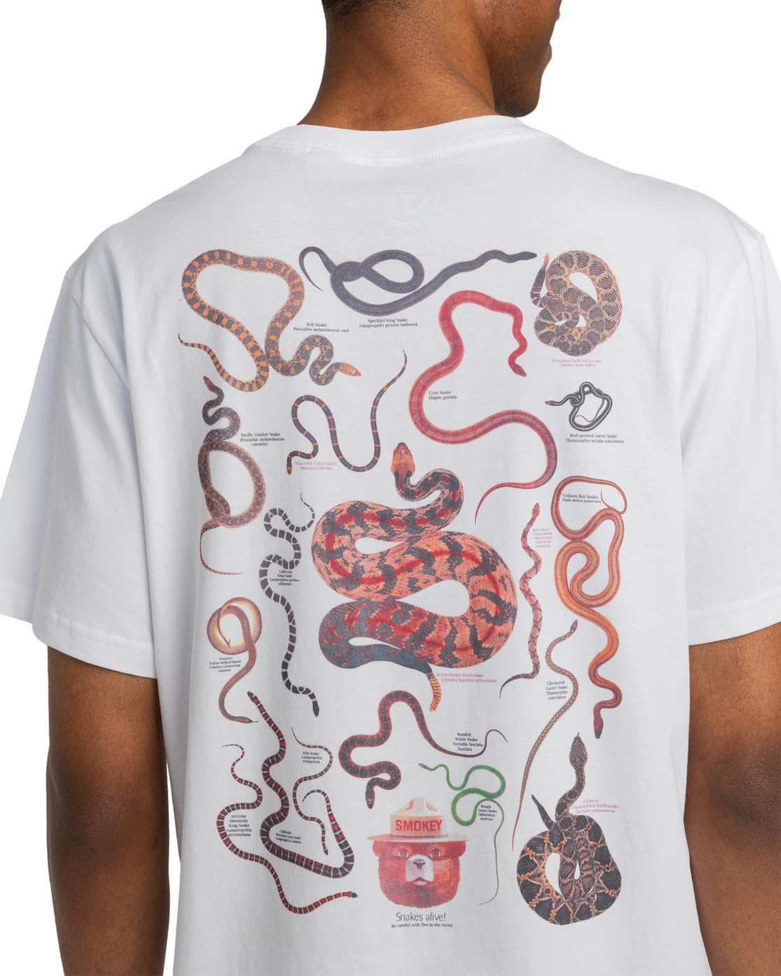 element-sbxe-nest-elyzt00516-t-shirt-f-r-herren image 2